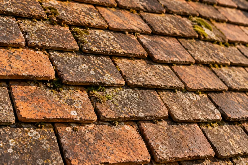 Tuiles plates anciennes gagnées par la mousse et le lichen